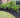 Springmix Compost Garden Mulch