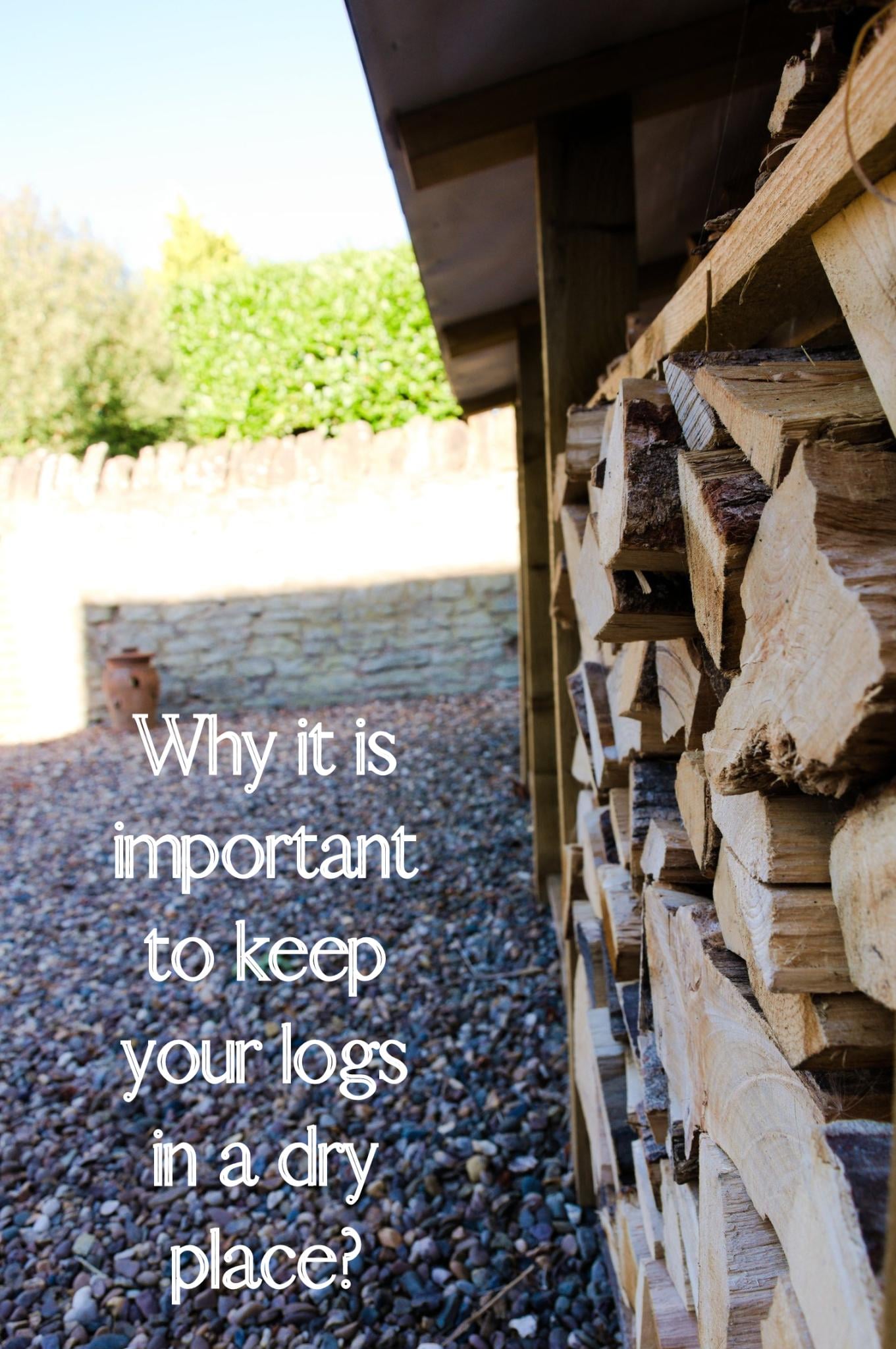 Why you need a Log Store: Everything You Need to Know